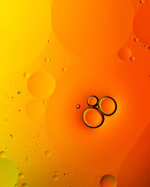 abstract bubbles colors still life